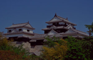 松山城,若江進,松山市議会議員,2026