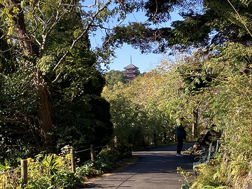 牧野植物園③