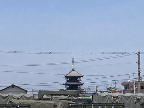 善通寺五重の塔