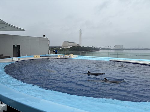 四国水族館③
