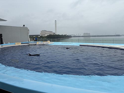 四国水族館④
