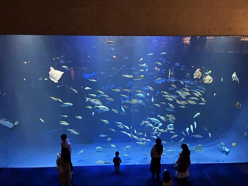 四国水族館⑦