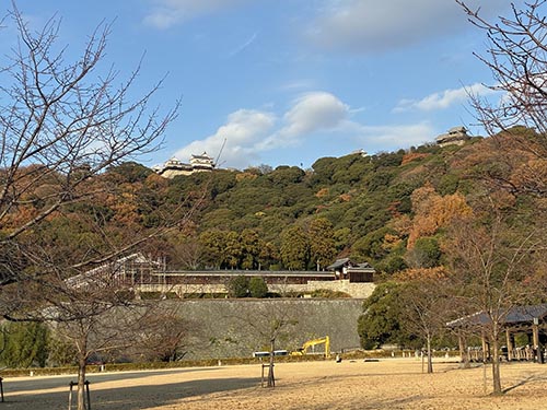 冬晴れの松山城②