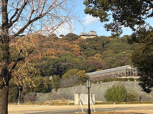 冬晴れの松山城④