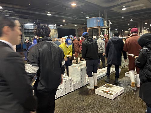 松山市三津水産市場初セリ①