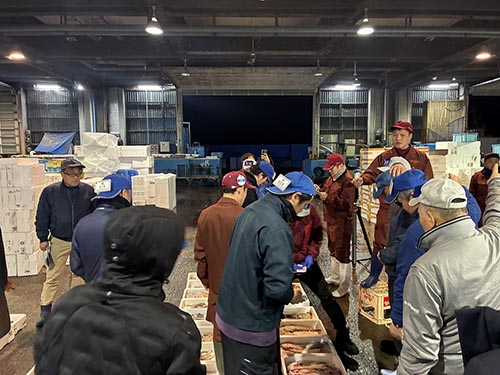 松山市三津水産市場初セリ②