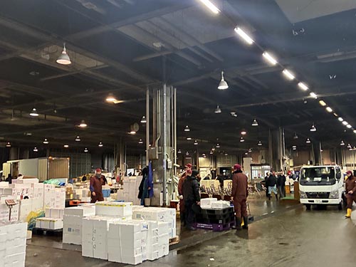 松山市三津水産市場初セリ④