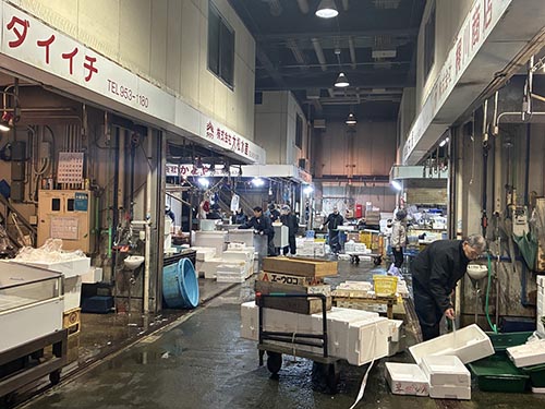 松山市三津水産市場初セリ⑥