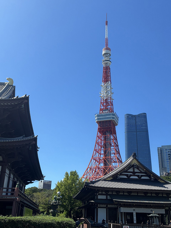 増上寺からの東京タワー②