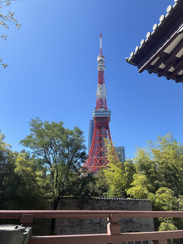 増上寺からの東京タワー④
